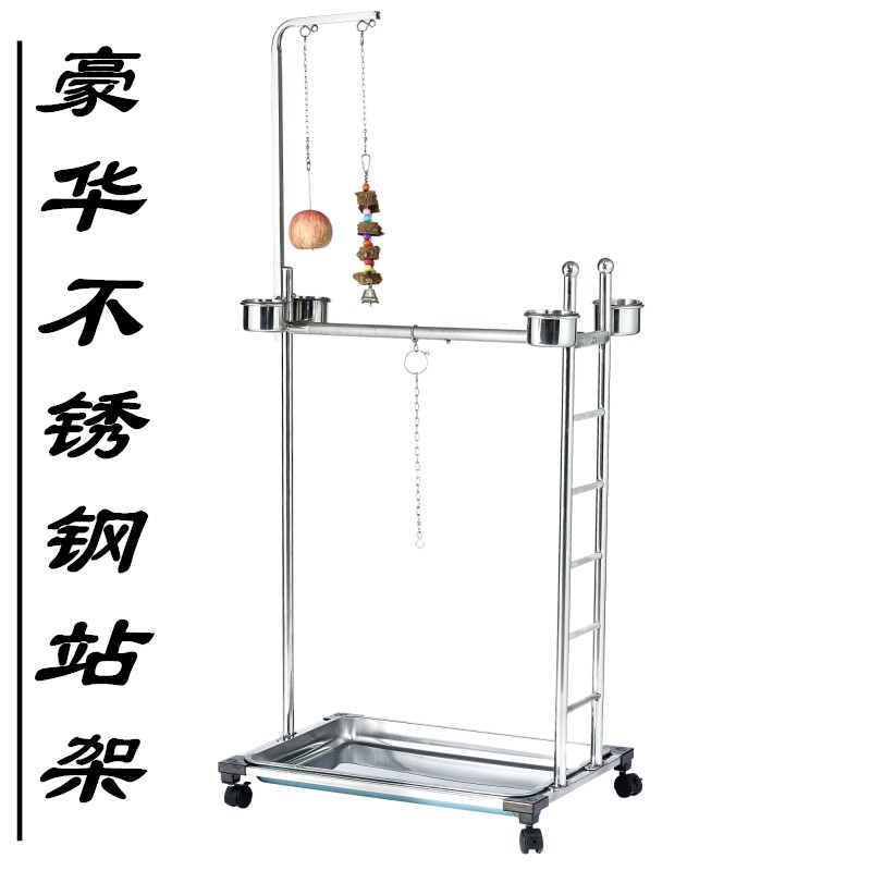 Gray parrot stand frame in the large stainless steel bird frame floor cage large sunflower King Kong XuanFeng small sun shelf