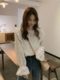 French-Style Lace Embroidery Flared Long-Sleeve Shirt for Women, Spring and Autumn Design, Niche Loose Ruffled Doll Shirt Top