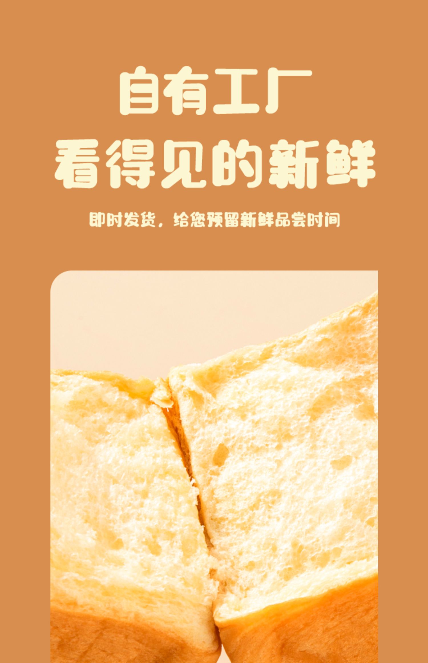 【今统】黑麦全麦面包整箱吐司450g