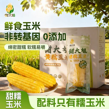 1.6kg2025年新黄糯玉米真空包装