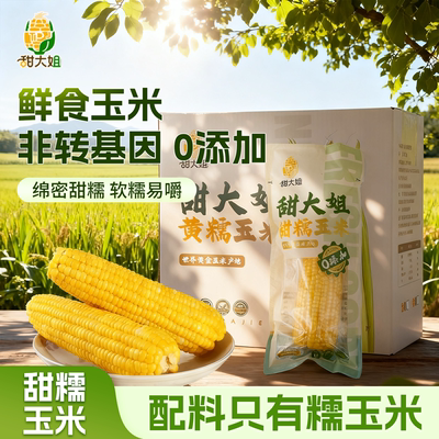 甜大姐甜糯玉米2025年新黄糯玉米真空包装黄苞玉米正宗东北玉米