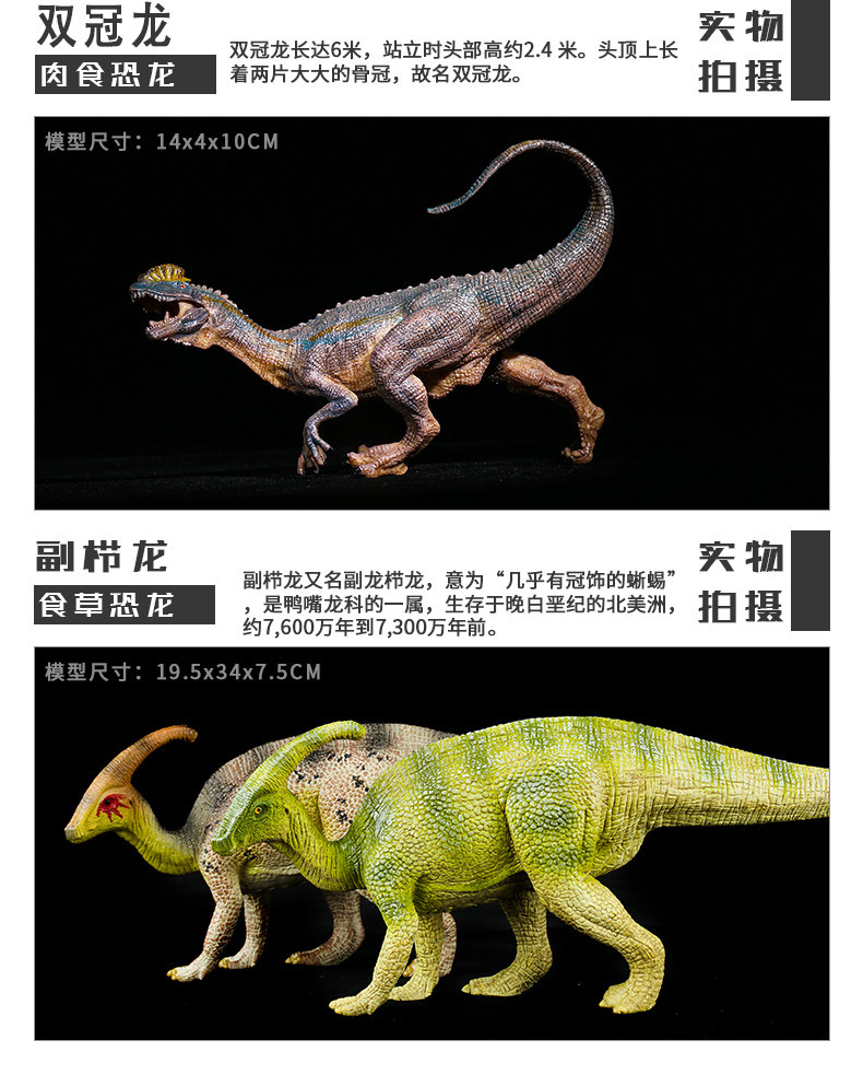 Игрушки-животные Моделирование динозавр игрушки большой тираннозавров животных моделях ребенок мальчик костюм игрушка яйцо динозавра Т-Рекс 12-летний SNAEN