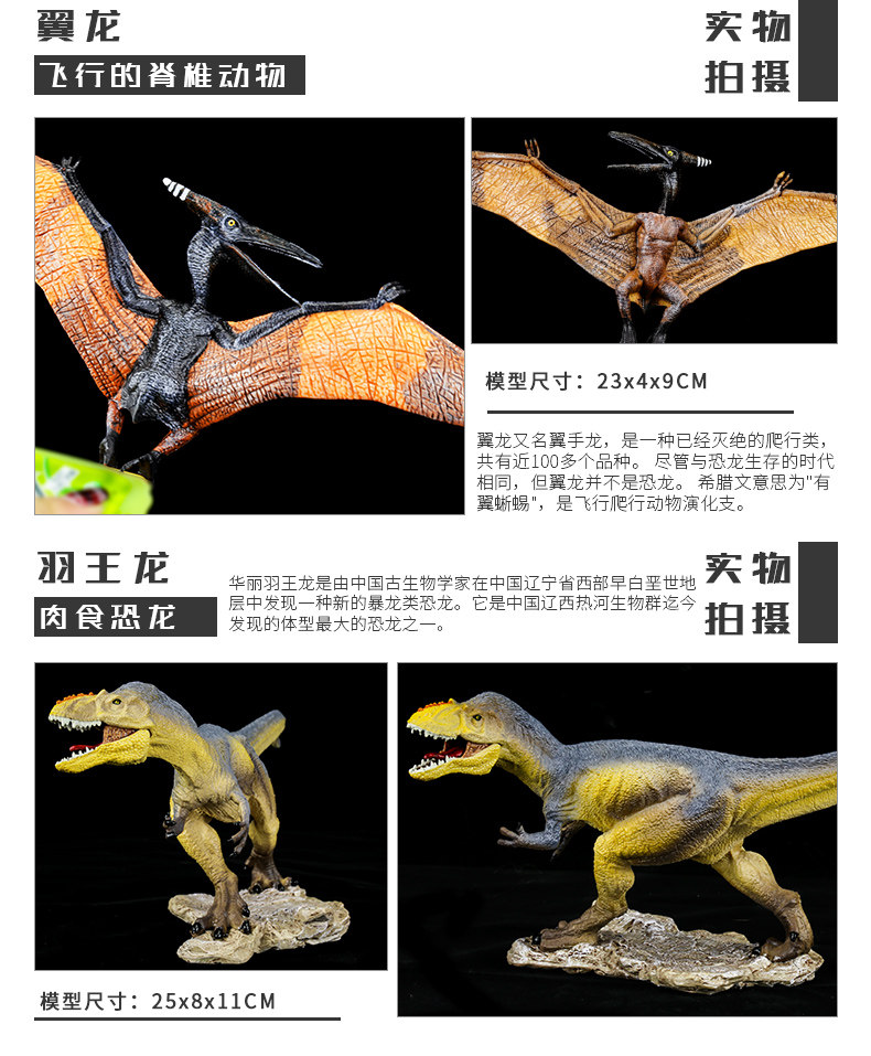 Игрушки-животные Моделирование динозавр игрушки большой тираннозавров животных моделях ребенок мальчик костюм игрушка яйцо динозавра Т-Рекс 12-летний SNAEN