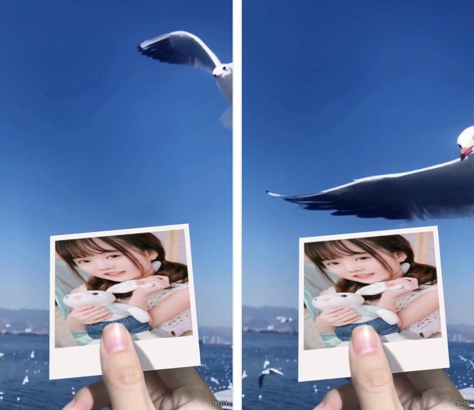 图片[1]-海鸥照片表白AE模板编号1128-亿贤创博客