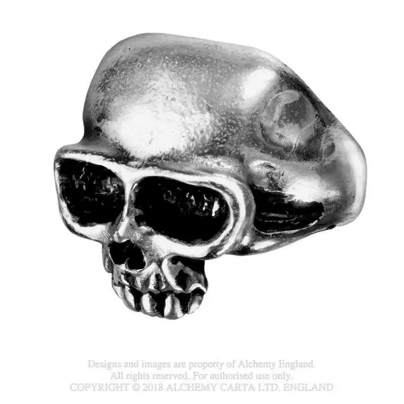 Официальное кольцо DEATH RING (R6) бренда Alchemy Gothic British A