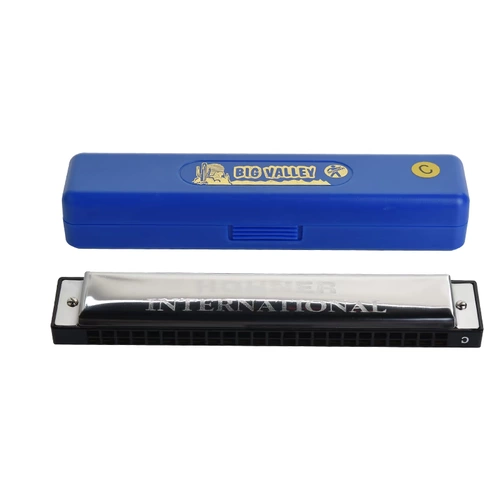 Губная гармошка для взрослых, профессиональная практика для школьников, Германия