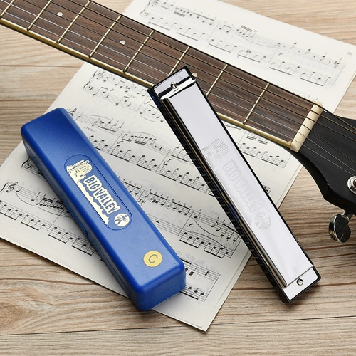 Губная гармошка для взрослых, профессиональная практика для школьников, Германия