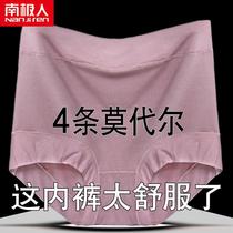 Antarctica 4 Model high waist panties antibacterial pure cotton crotch 200 pounds middle - aged lady triangles