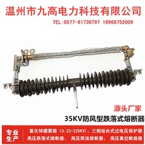 35KV windproof outdoor high pressure drop Fuse Fuse Safety switch HGRW1-35KV 100A 200A
