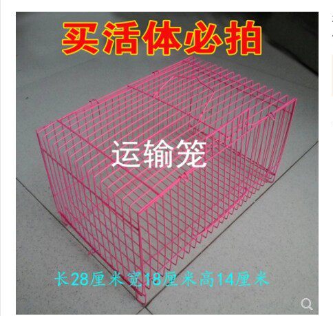 Living transport cage Dutch pig living guinea pig living rabbit shipping must take transport cage