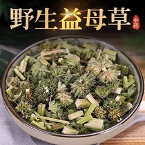 Authentic wild motherwort 500g Chinese medicinal material special grade sulfur-free motherwort high quality Chinese herbal medicine to regulate menstruation
