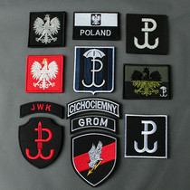 Outdoor new spot rainbow six R6 Poland GROM embroidery velcro armband TF-9 military morale badge