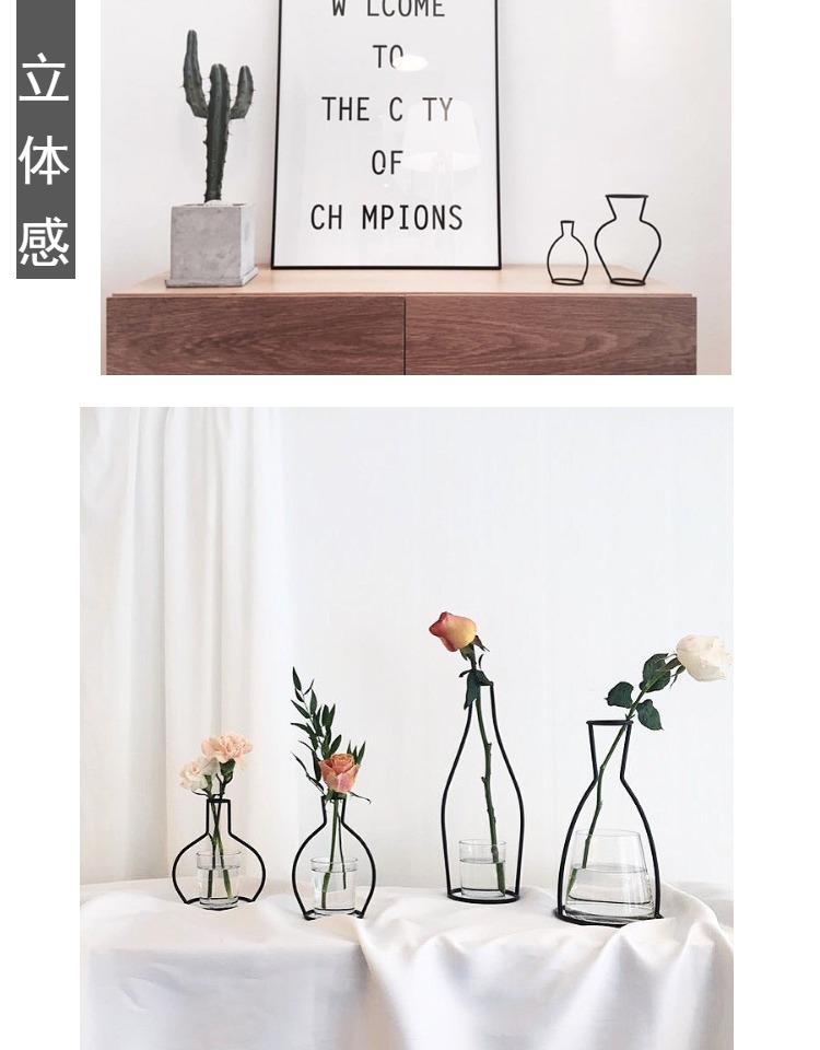 Sắt khô bình hoa tối giản hoa khô sắp xếp hoa trang trí mouldwork văn học ba chiều chai in phong cách Bắc Âu - Trang trí nội thất trang trí nội thất
