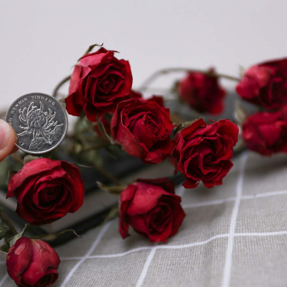 霓虹玫瑰泡泡乾燥花薔薇七夕情人節乾燥花首飾製作手工蠟片滴膠材料