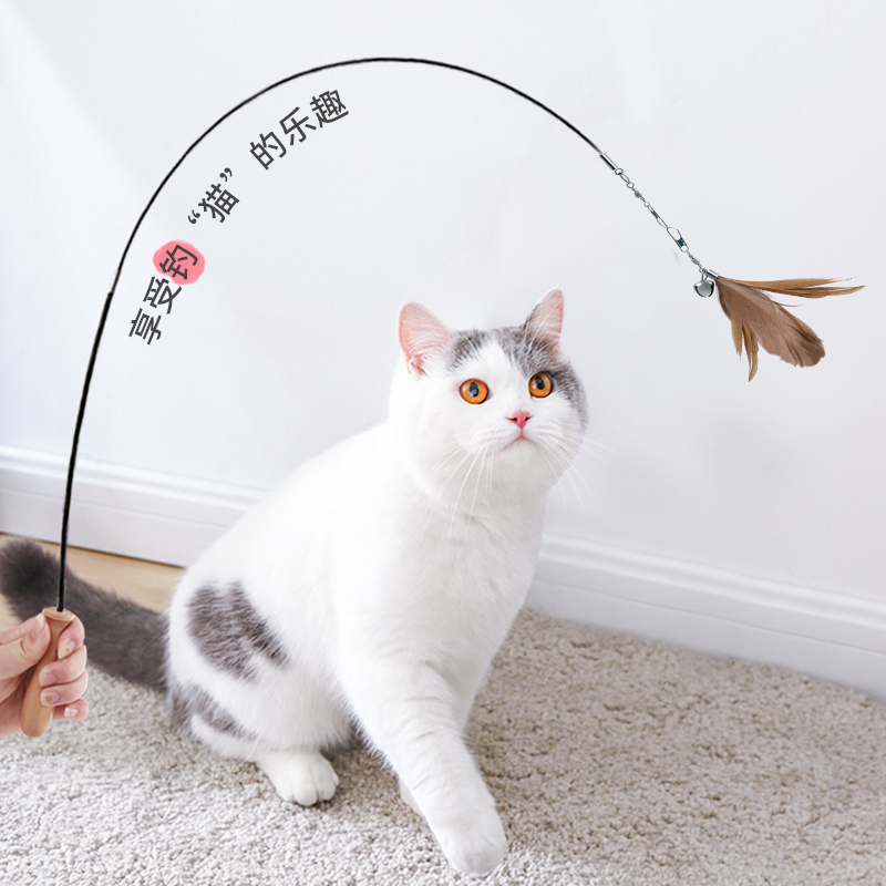 Technical tasting cat stick to bite from hi cat toy kitten kitten bell feather replace cat kitten kitten kitten kitten kitten kitten kitten kitten kitten kitten kitten kitten kitten kitten kitten kitten kitten kitten kitten kitten kitten kitten kitten kitten feather for cat kitten kitten kitten kitten kitten kitten