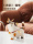 Эмаль светлого цвета, роскошное современное высококлассное украшение lucky cat для гостиной, настольное украшение для дома, милое украшение для кошек mini 0