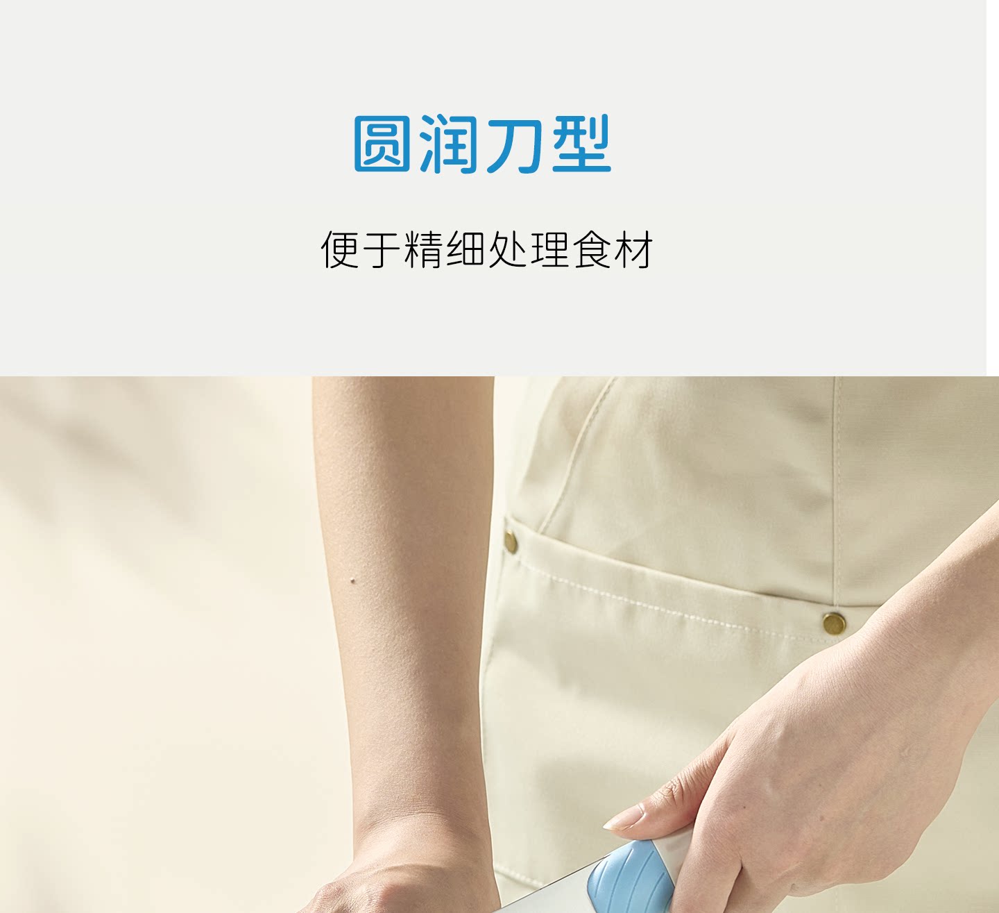安享好物 安享C级斩切刀-卡罗特女士 不锈钢菜刀  