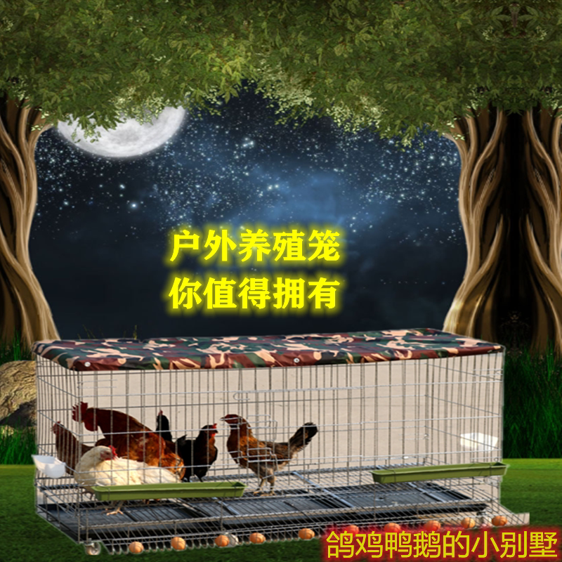 Breeding ducks, pigeons, chicken cages, chicken cages, outdoor pet chicken fences, chicken cages, household outdoor rainproof chicken coops, iron cages