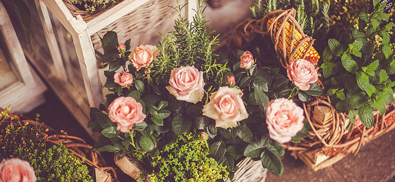 Montures de lunettes JUCARE en Metal memoire - Ref 3140126 Image 8