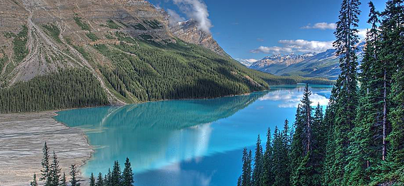 Montures de lunettes JUCARE en Metal memoire - Ref 3139202 Image 8