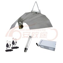 Special Price Foreign Trade Yinggui 600W Magnetic Ballast Simple Lampshade Sodium Lamp Suit