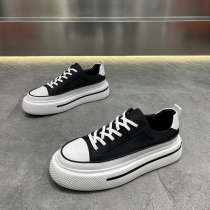 Shoes mens 2022 new cloth breathable white shoes trendy thick-soled heightened shoes low top all-match casual cloth shoes