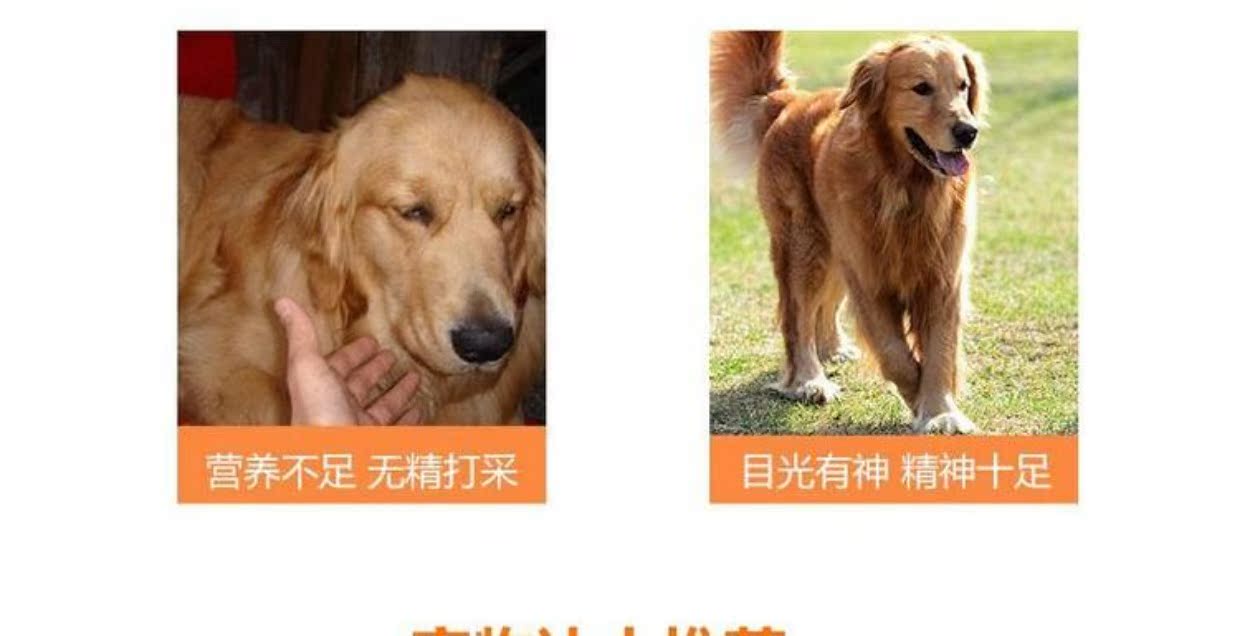 Hag pet dinh dưỡng kem chó mèo nói chung gấu bông lông vàng con chó nuôi dưỡng sản phẩm sức khỏe vitamin kem dưỡng tóc 	sữa cho chó có bầu