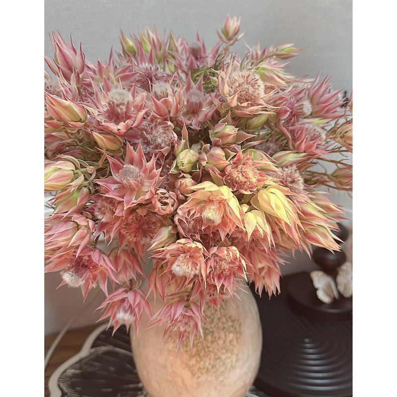 【Bridal Flowers】Directly Shipped from Yunnan Base, Fresh Cut Flowers Can Be Used as Dried Flowers 【Bridal Flowers】Directly Shipped from Yunnan Base, Fresh Cut Flowers Can Be Used as Dried Flowers