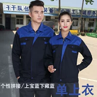 Вершина королевского синего и скрытого синего топа