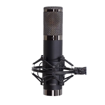 EDMICN Original Flying Music ED-209 Big Zhenfilm Capacitive Microphone Recording Microphone Computer K Song Equipment