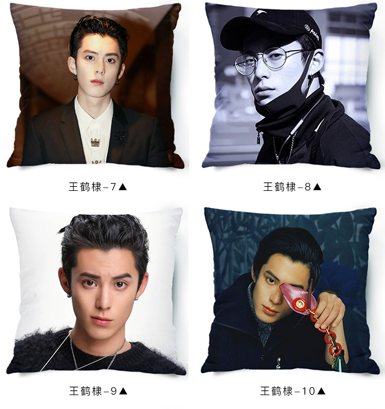 Wang Hedi Meteor Garden gối tùy chỉnh với các hình ảnh hình người sống sinh viên văn phòng ngủ gối tiền mặt - Trở lại đệm / Bolsters