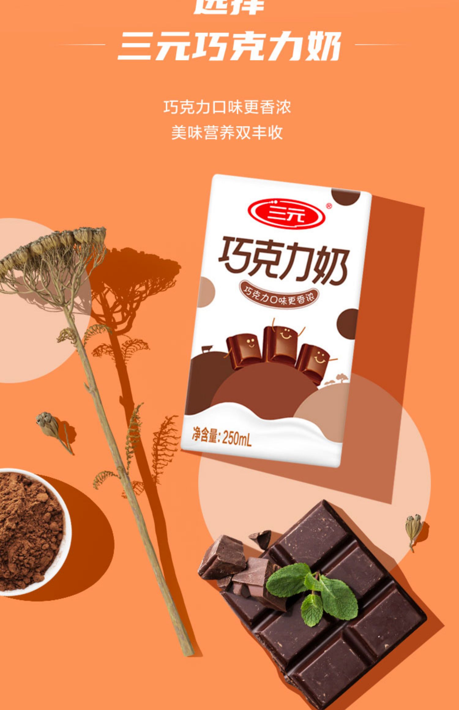 三元巧克力牛奶250ml*24盒