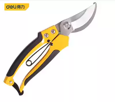 Deli tool DL2770 flower and wood stainless steel branch scissors pruning garden American tool steel gardening scissors