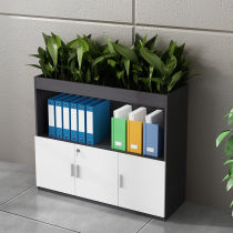 Office partition cabinet Flower slot cabinet File cabinet Data cabinet Wooden low cabinet Locker with lock cabinet Multi-function