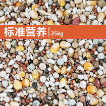 Hua Cheng Dove Grain Racing Pigeon Letter Pigeon With Corn Nutrition Dove Grain 50 Catfish Species Dove Meta Treasure Ornamental Pigeon Feed