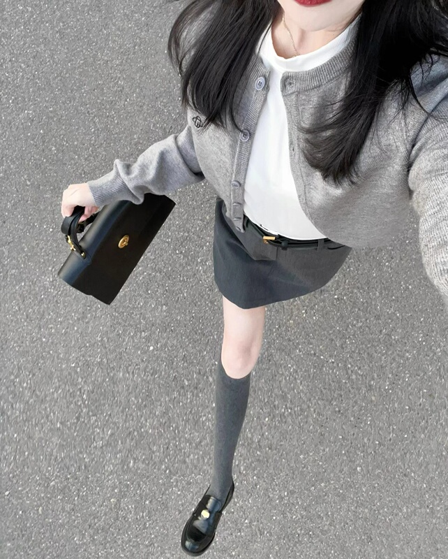 Gray Knitted Sweater Cardigan Jacket for Women, Spring New Style, Embroidered, Loose, Slimming, Short, Long-Sleeved Top