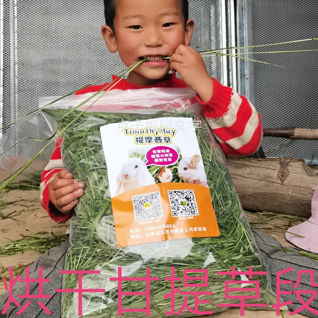 (Drying milk ear grass section) 3 catties 2022 new Timothy hay rabbit chinchilla