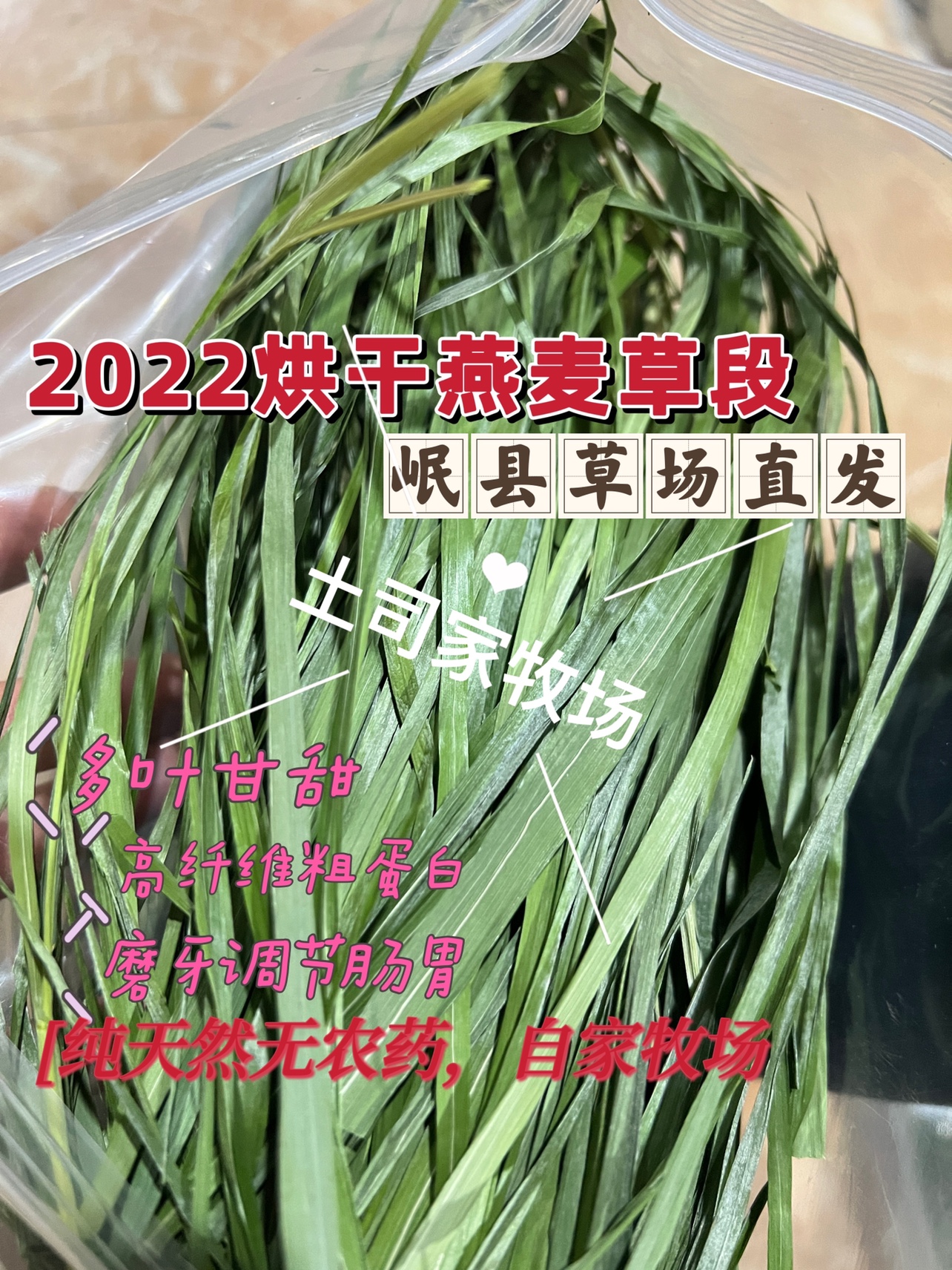 In 22 years, the New Grass Min County drying gold oat herb rabbit dragon cat Dutch pig filled 1 pound