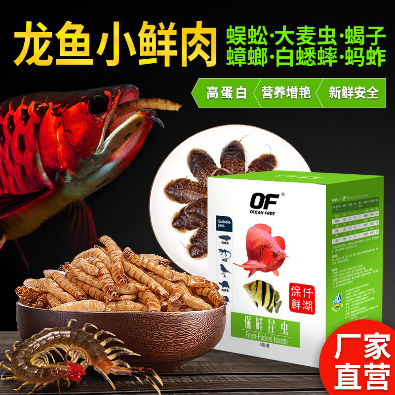Qianhu fresh insects Red dragon feed Cockroach Barley worm Cricket Centipede Golden Arowana Color red dragon Silver dragon worm Dried