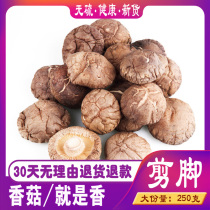 Winter Mushrooms Mushrooms Dry Goods Batch Bulk 250g Non-500g Home Special Level with canton Cut Foot Money Mushrooms Saucepan Soup Stock