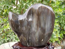 Ink Myanmar tree jade Jade fossil Qishi rough silicified wood ornaments 72#(Shanxi Qi Gallery)