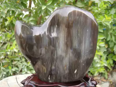 Ink-colored Burmese tree Jade Wood fossil strange stone raw stone silicified wood ornaments 72#(Mountain Xiqi Gallery)