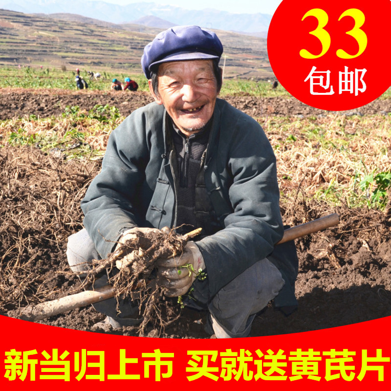 Big angelica sulfur-free Minxian Chinese herbal medicine non-special grade wild angelica powder can cut angelica tablets 250g grams