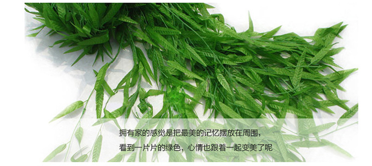 Hoa nhựa mô phỏng lá liễu 绢 hoa giả hoa nho dây leo liễu mô phỏng liễu liễu liễu liễu - Hoa nhân tạo / Cây / Trái cây giả hạc
