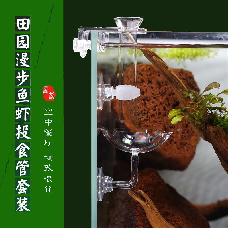 Glass feeding tube fish tank crystal shrimp fish feeder glass shrimp pot shrimp feeder benthic turtle tank fish snail feeder - Taobao