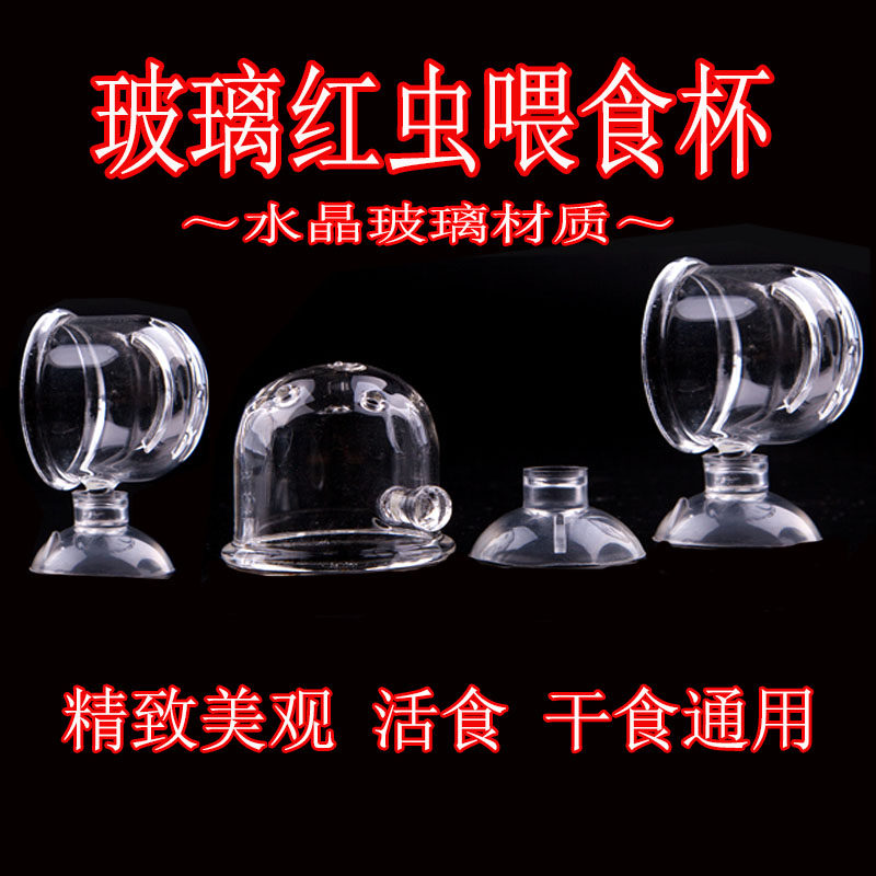 Glass red worm feeding cup small fish feeder shrimp tank grass tank red nematode fish food frozen red worm feed dispenser