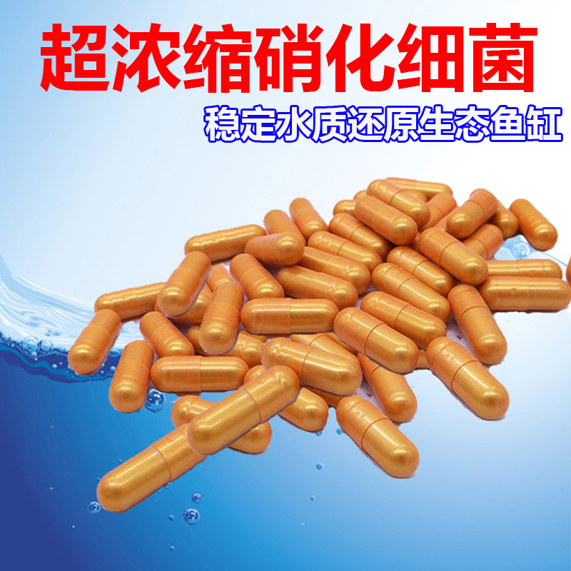 Nitrogenous bacteria fish tank purified water Digestive Live Bacteria Water Group Fishing Potion tank Concentrated Line Capsule Nitrobacteria