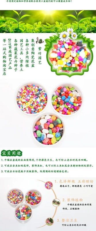 Đá cuội màu đá cuội trang trí sân vườn cung cấp thịt lát đá chậu hoa trang trí chậu cá thủy tinh