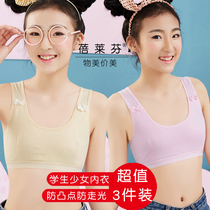  Girl bra Junior high school high school students 12-13-14-15-16-year-old developmental period without steel ring small vest cotton underwear