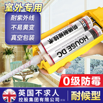Beauty seam agent Tile floor tile special waterproof bathroom outdoor balcony Beauty Feng real hook porcelain cleaning caulk adhesive